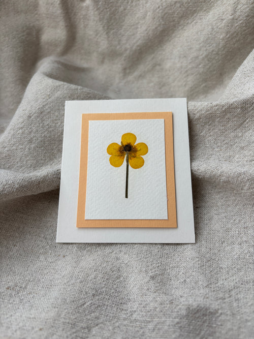 Håndlagde kort med pressede blomster