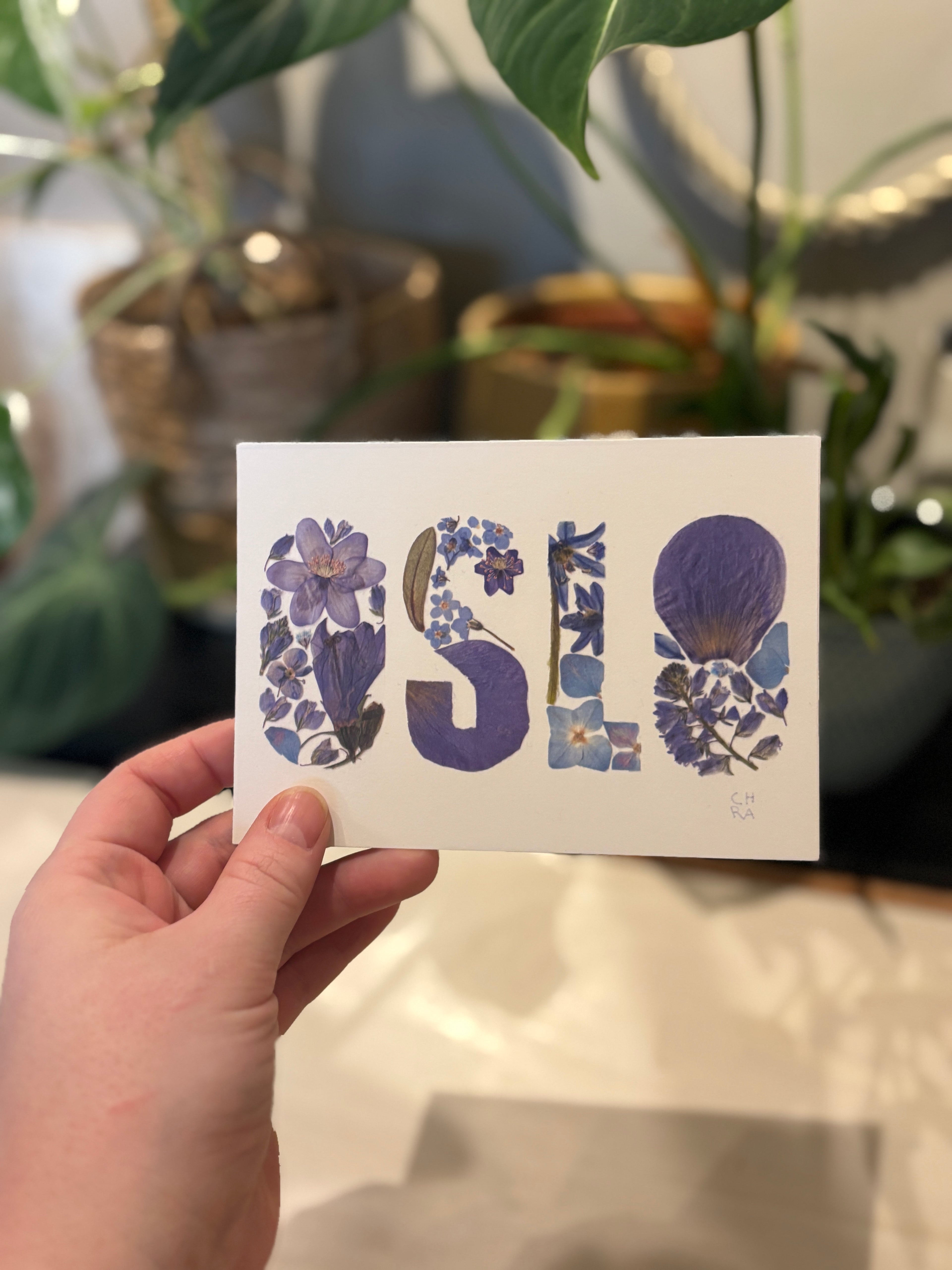 OSLO A6 print med pressede blomster - BLÅ