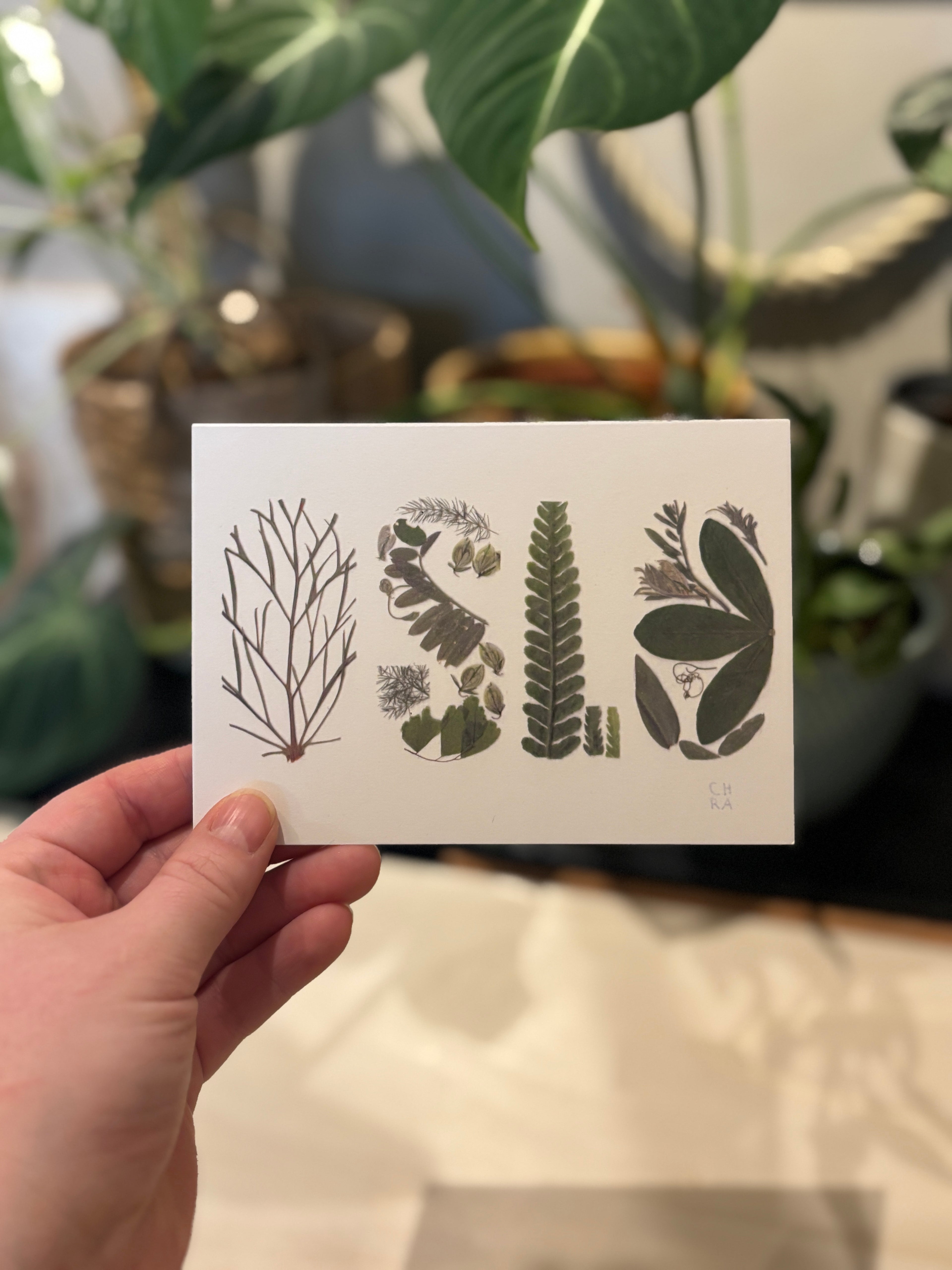 OSLO A6 print med pressede blomster - GRØNN