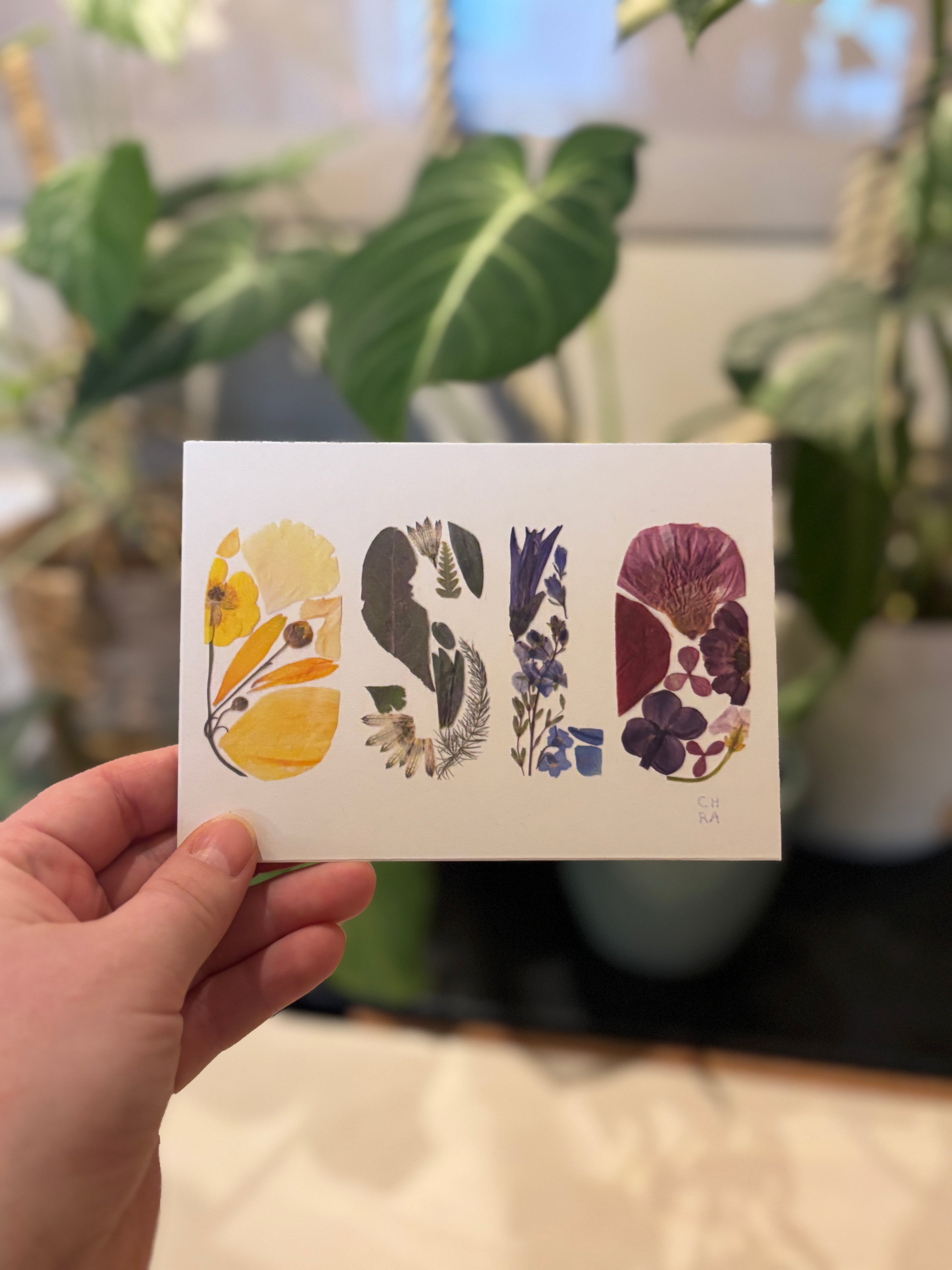 OSLO A6 print med pressede blomster - FLERFARGET